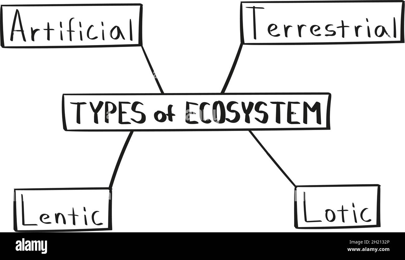 Konzept der Arten von Ökosystem-Mindmap in handgeschriebenem Stil Stock Vektor