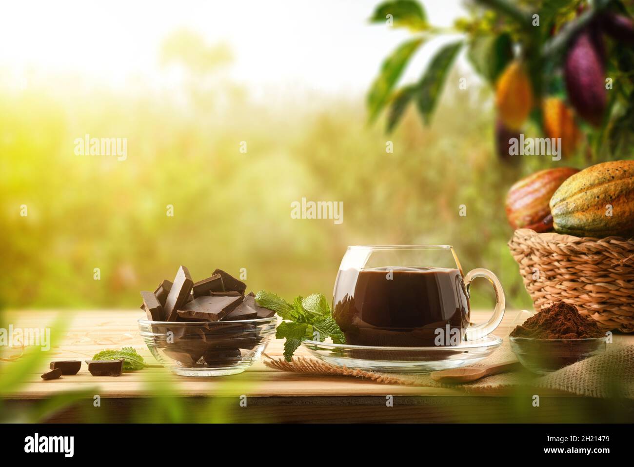 Tasse Bio heiße Schokolade in Glas Tasse auf Holzlatten Tisch mit Stück und Schokolade in Kakaoplantage. Vorderansicht. Horizontale Zusammensetzung. Stockfoto