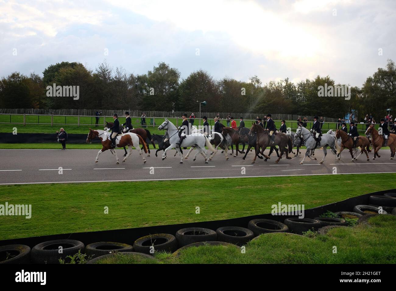 Oktober 2021 - Pferde und Hunde auf der Strecke beim Covid verzögert Goodwood Members Meeting 78. Stockfoto