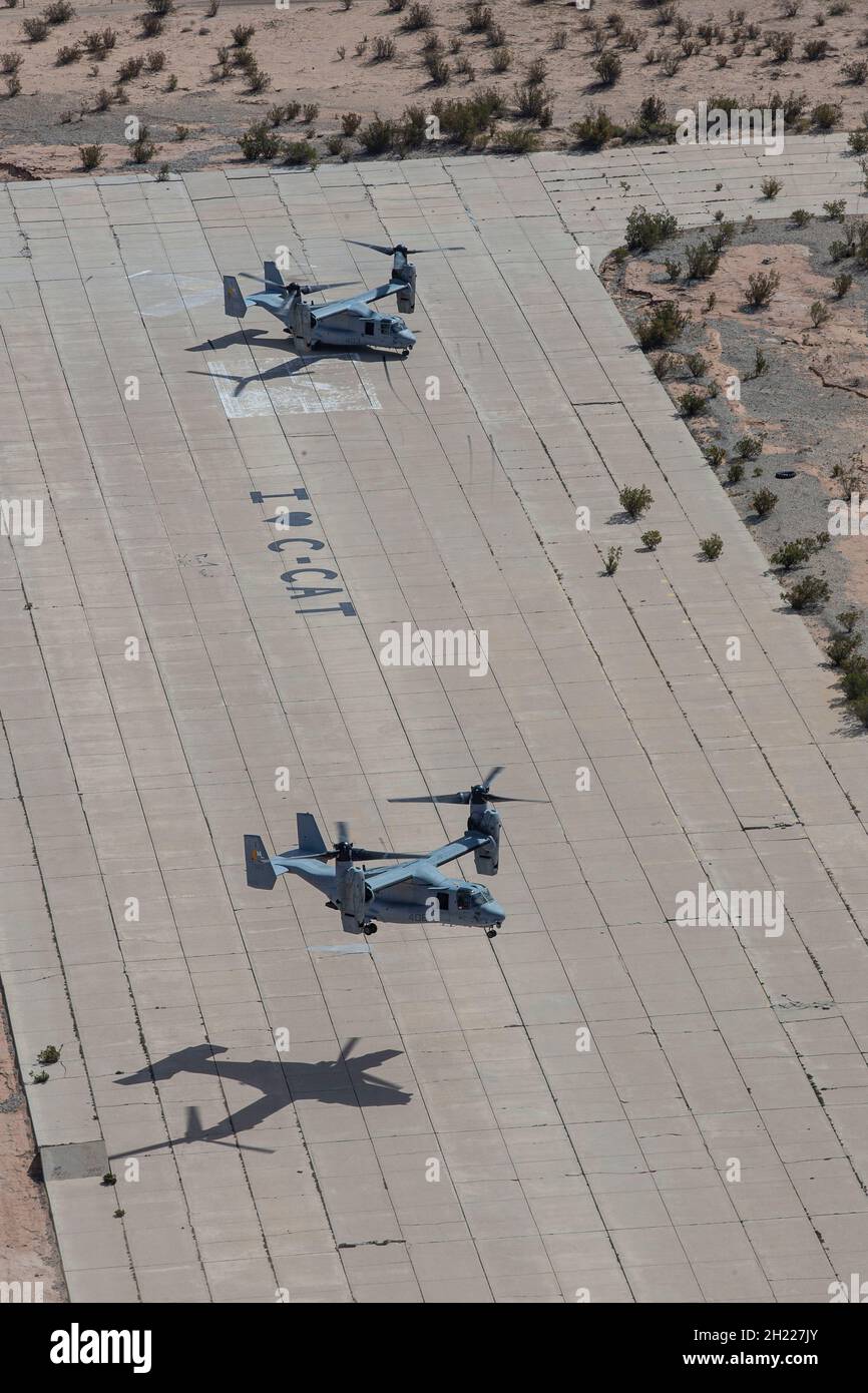 Zwei US Marine MV-22B Ospreys mit Marine Medium Tiltrotor Squadron 764, Marine Aircraft Group 41, 4th Marine Aircraft Wing, landen auf dem Holtville Airfield während eines kombinierten Trainingseingriffs mit Marine Light Attack Helicopter Squadron 775, mag-41, 4th MAW, nahe El Centro, Kalifornien, 17. Oktober 2021. Die Reservisten von HMLA-775 und VMM-764 bieten zusammen mit anderen aktiven Fluggeschwadern an der Westküste Flugunterstützung an, die es den Einheiten der I Marine Expeditionary Force ermöglicht, ihre Missionsfähigkeiten und ihre Kampfbereitschaft aufrechtzuerhalten und zu verbessern. (USA Marine Corps Foto von CPL. Andrew Cortez) Stockfoto