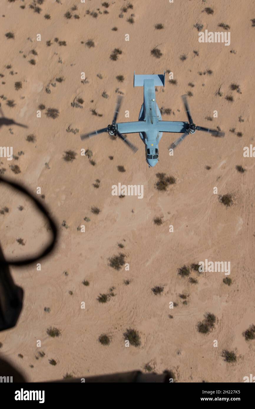 Ein US Marine MV-22B Fischadler mit Marine Medium Tiltrotor Squadron 764, Marine Aircraft Group 41, 4th Marine Aircraft Wing, fliegt während eines kombinierten Trainingseingriffs mit Marine Light Attack Helicopter Squadron 775, mag-41, 4th MAW, nahe El Centro, Kalifornien, zum Holtville Airfield. 17. Oktober 2021. Die Reservisten von HMLA-775 und VMM-764 bieten zusammen mit anderen aktiven Fluggeschwadern an der Westküste Flugunterstützung an, die es den Einheiten der I Marine Expeditionary Force ermöglicht, ihre Missionsfähigkeiten und ihre Kampfbereitschaft aufrechtzuerhalten und zu verbessern. (USA Marine Corps Foto von CPL. Andrew Cortez) Stockfoto