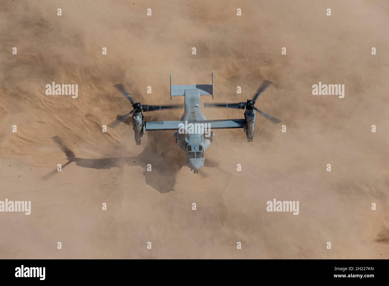 Ein US Marine MV-22B Fischadler mit Marine Medium Tiltrotor Squadron 764, Marine Aircraft Group 41, 4th Marine Aircraft Wing, landet während eines kombinierten Trainingseingriffs mit Marine Light Attack Helicopter Squadron 775, mag-41, 4th MAW, in der Nähe von El Centro, Kalifornien, auf dem Holtville Airfield. 17. Oktober 2021. Die Reservisten von HMLA-775 bieten zusammen mit den anderen Staffeln auf der Luftstation Flugunterstützung an, die es I Marine Expeditionary Force, Marine Corps Base Camp Pendleton Pächterkommandos und Besuchseinheiten ermöglicht, ihre Missionsfähigkeiten und ihre Kampfbereitschaft zu erhalten und zu verbessern. (USA Marine C Stockfoto