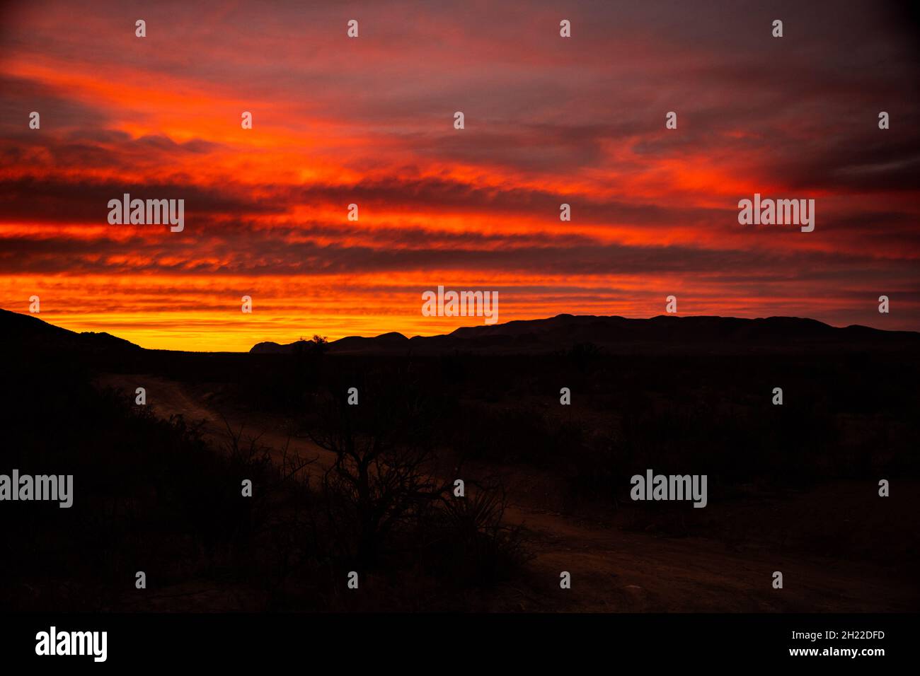 Bight Colours of Sunset über Grapevine Hills im Big Bend National Park Stockfoto