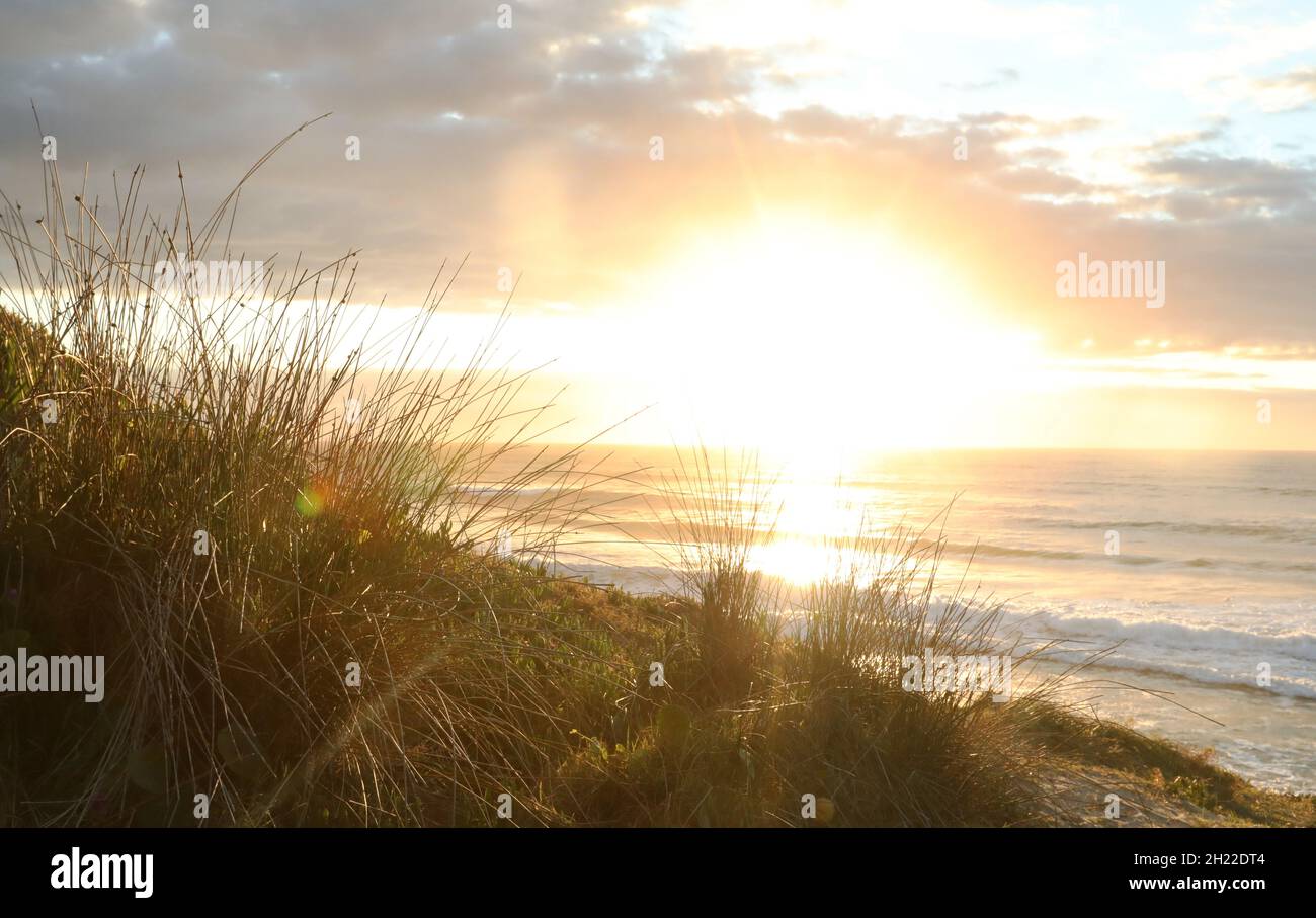 Ein Blick bei Sonnenaufgang durch natürliche Gräser und Schilf über den Ozean mit Blick nach Nordosten vom Lake Cathie an der wunderschönen Mid North Coast von New South W Stockfoto