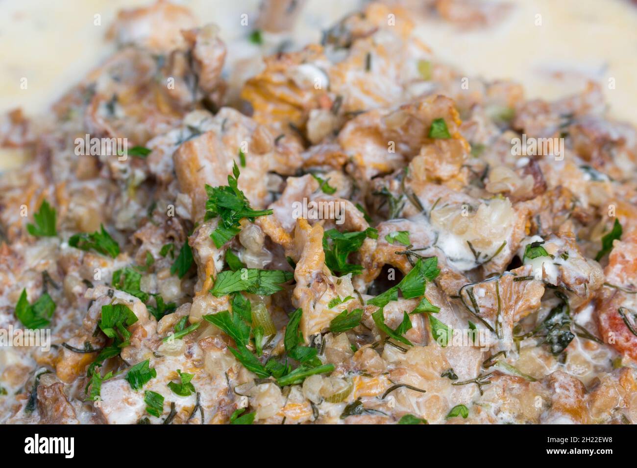 Buchweizen-Kascha mit Chantarelle-Pilzsauce auf dem Teller Stockfoto