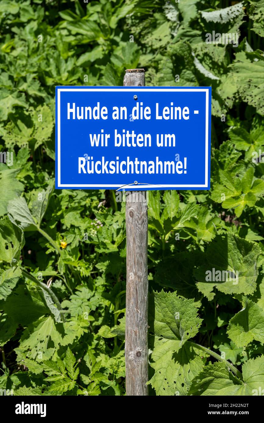 Melden Sie sich auf einer Wiese an, Hunde an der Leine, wir bitten um Ruecksichtsnahme, Oberstdorf, Deutschland Stockfoto