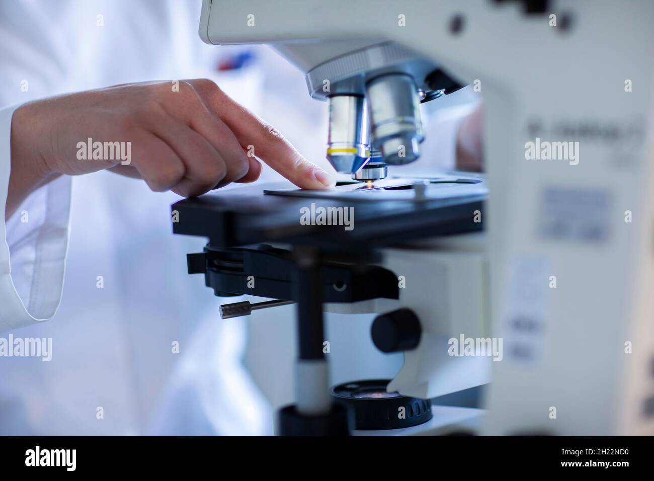 Hand eines Laboranten mit Mikroskop und Probe, der in einem Labor mit Lichtmikroskop arbeitet, Freiburg, Baden-Württemberg, Deutschland Stockfoto