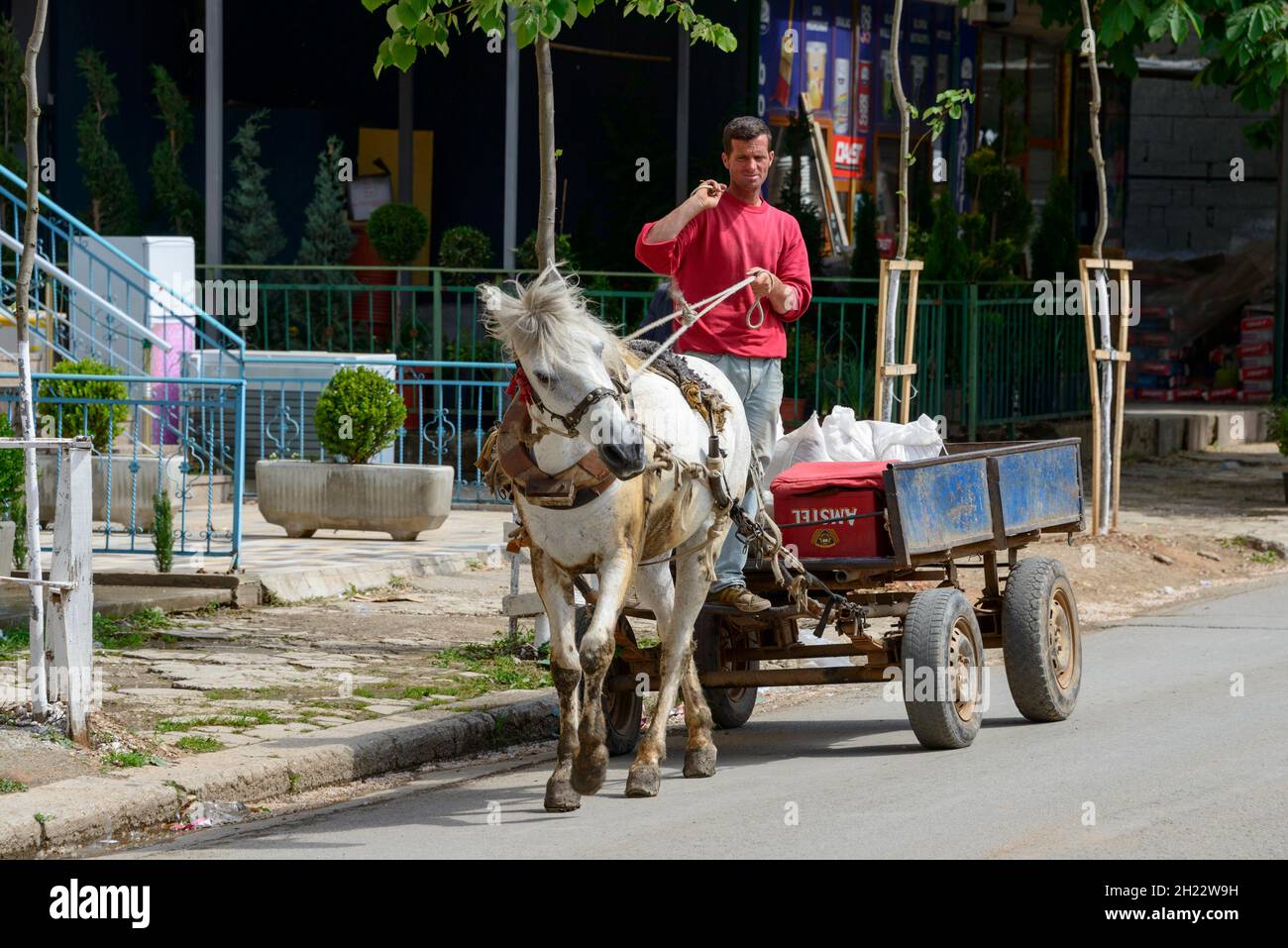 Pferd mit Schlitten und Waren, Peshkopi, Albanien Stockfoto