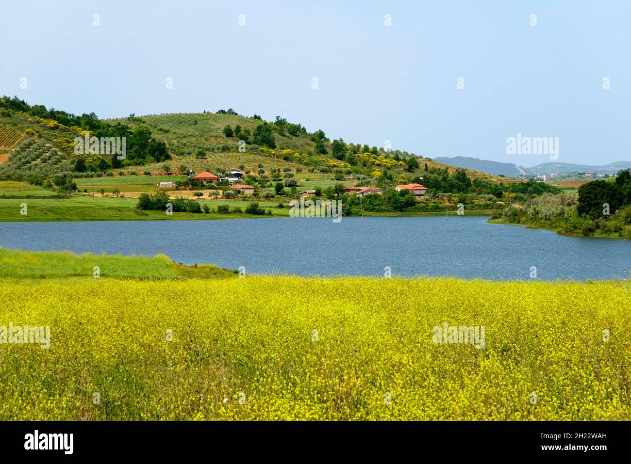 Lake Plateau of Dumreja bei Seferan, Elbasan Qark, Albanien Stockfoto