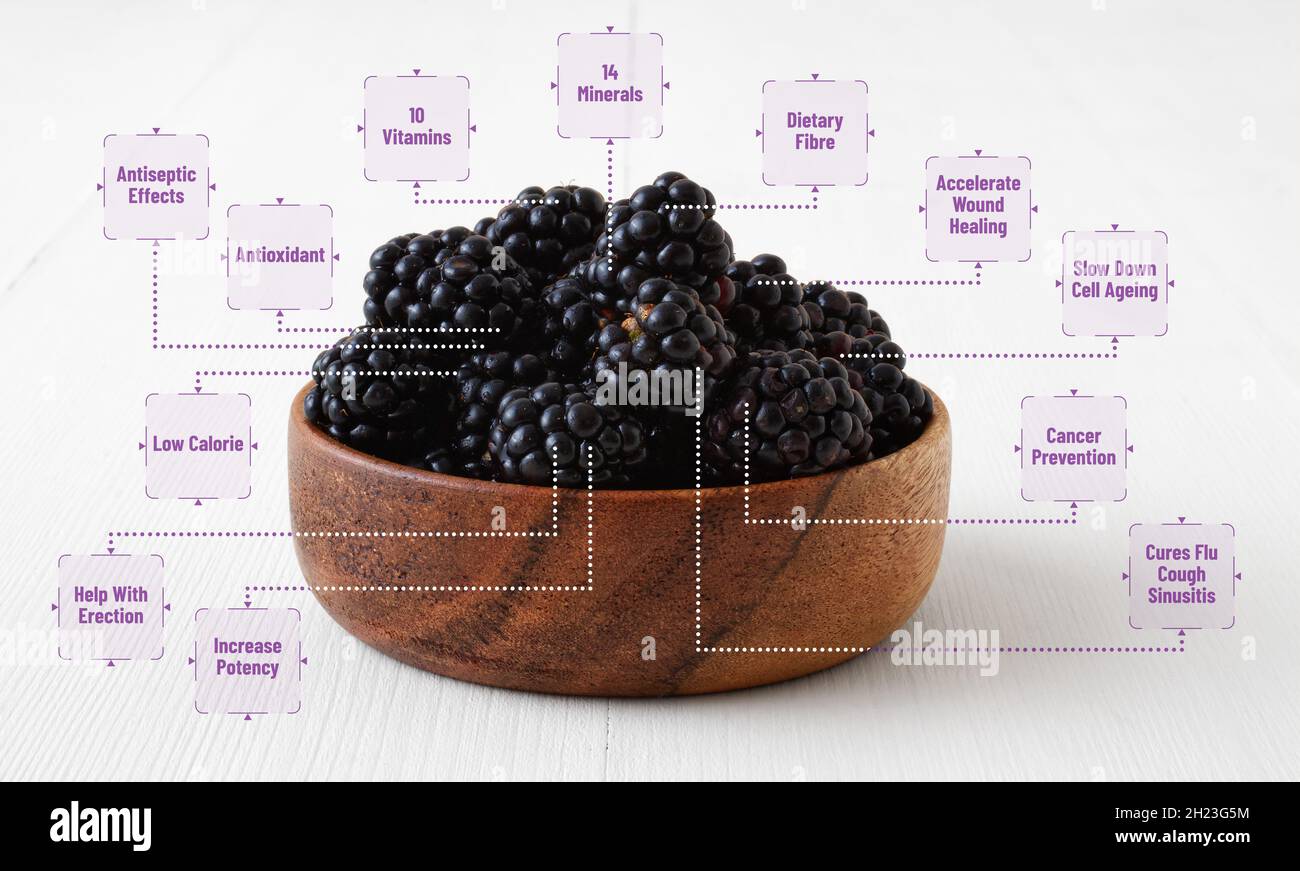 Reife Brombeeren in einer Schale aus einem Olivenbaum auf einem weißen Holztisch mit Nährwertkennzeichnungen erklären, warum diese Frucht wichtig ist und warum wir h sollten Stockfoto