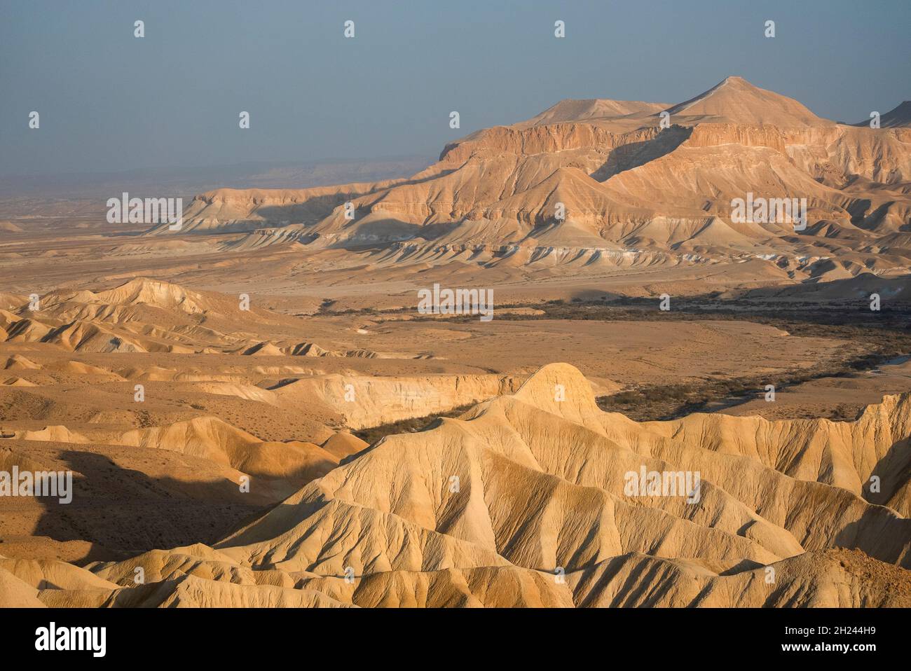 Wüstenlandschaft in Nahal Zin, Negev Israel Stockfoto