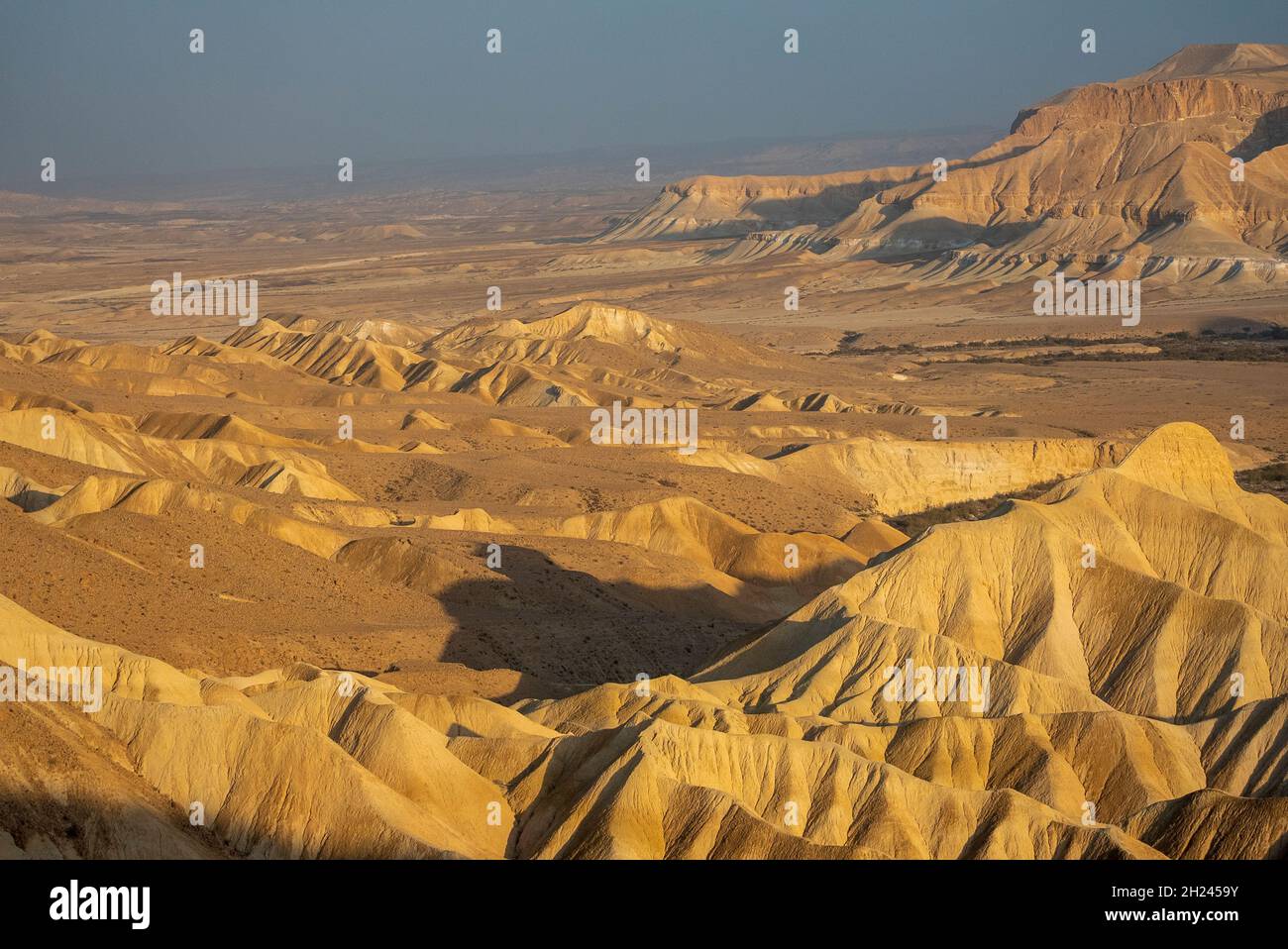Wüstenlandschaft in Nahal Zin, Negev Israel Stockfoto