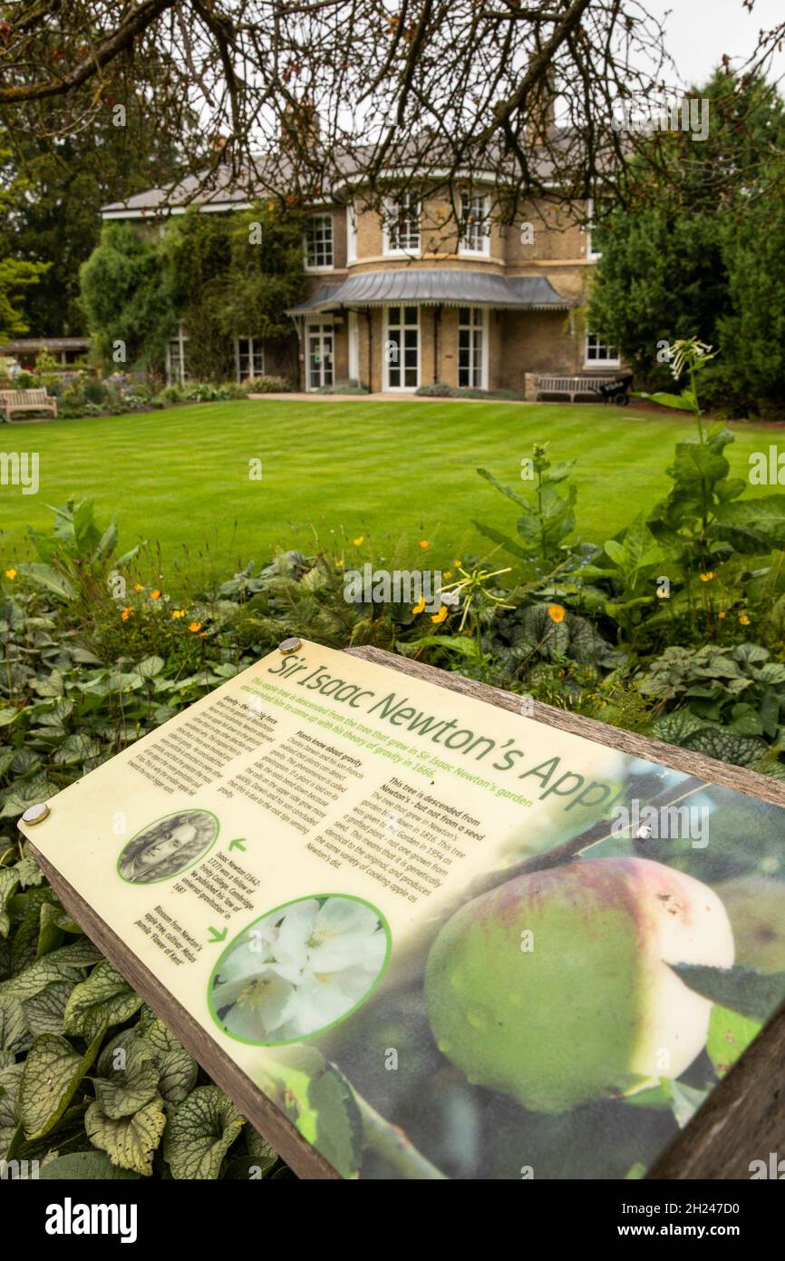 Großbritannien, England, Cambridgeshire, Cambridge, University Botanic Garden, Isaac Newtons Apfelbaum-Zeichen Stockfoto