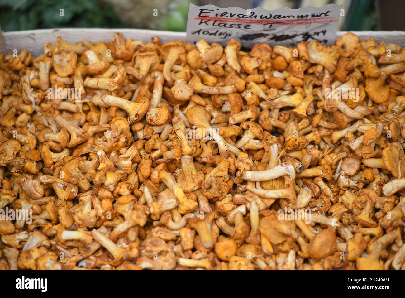 Eierschwammerl, Pfifferlinge auf einem Markt in Ried im Innkreis, Oberösterreich, Österreich, Europa - Chanterelle Pilze, Pfifferlinge auf einem Markt Stockfoto