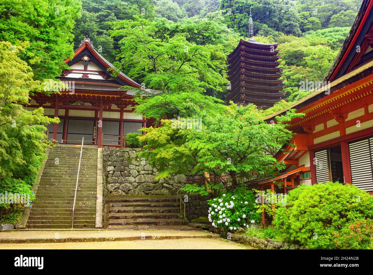 Nara, Japan - 01. Juli 2019: Tanzan Jinja Shrine Haupthalle und seltene 13-stöckige Pagode, Nara, Japan. Stockfoto