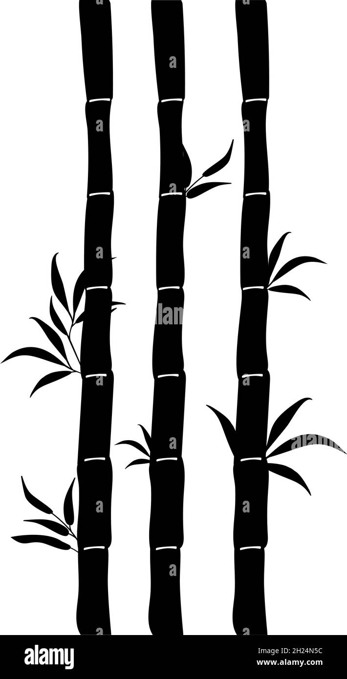Silhouette Bambus Stiele mit Blättern. Stock Vektor