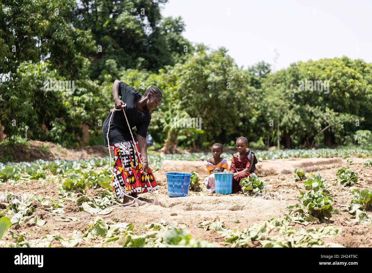 Gruppe schwarzer Mädchen, die Wasser aus einer ländlichen Wasserstelle in Westafrika sammeln; Konzept der Wasserknappheit Stockfoto
