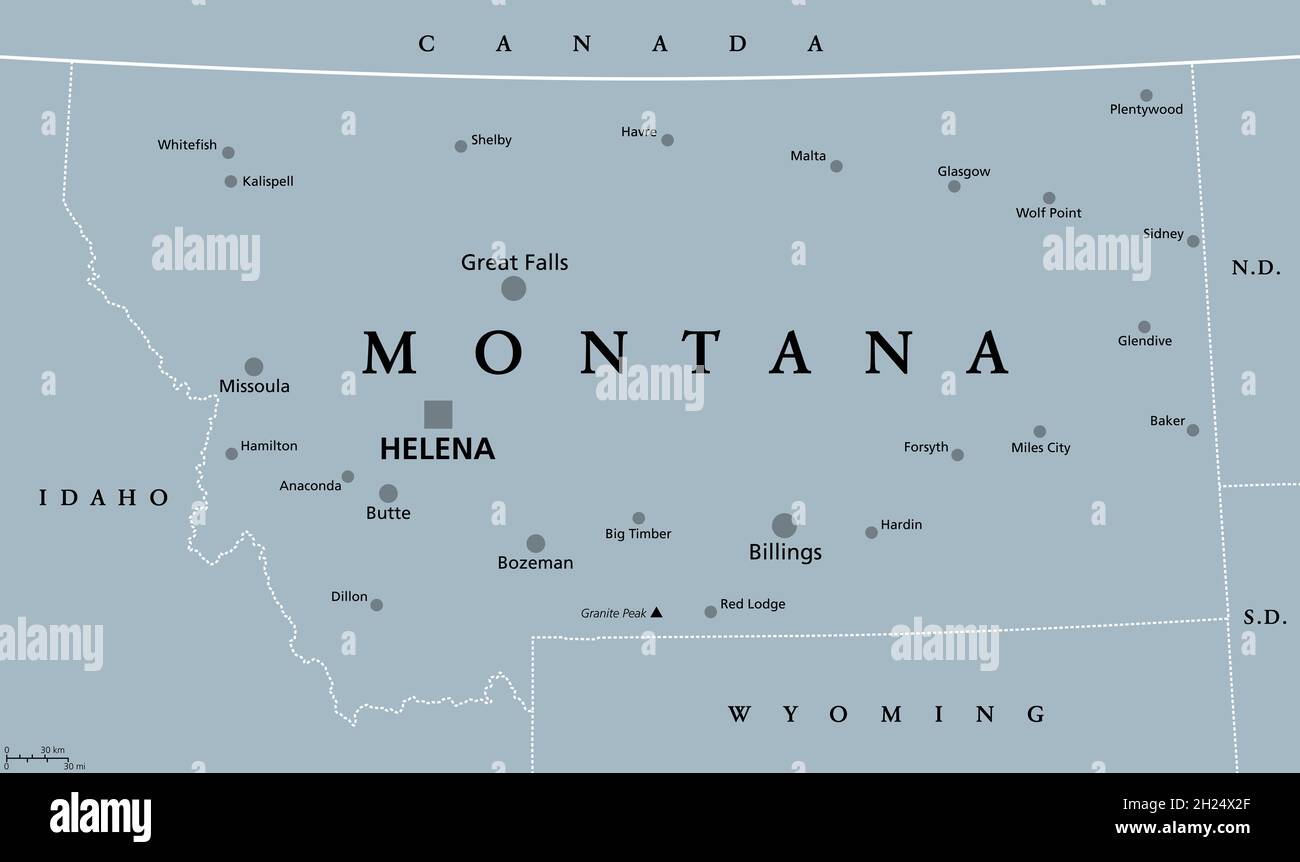 Montana, MT, graue politische Landkarte mit der Hauptstadt Helena. Staat in der Unterregion Mountain West der westlichen Vereinigten Staaten von Amerika, Big Sky Country. Stockfoto