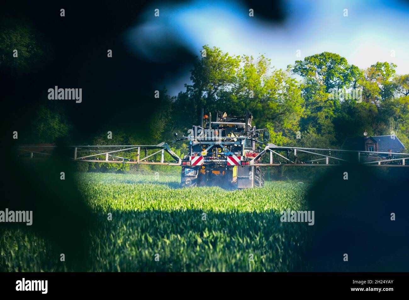 Landwirt sprüht Pestizide auf einem Feld Stockfoto