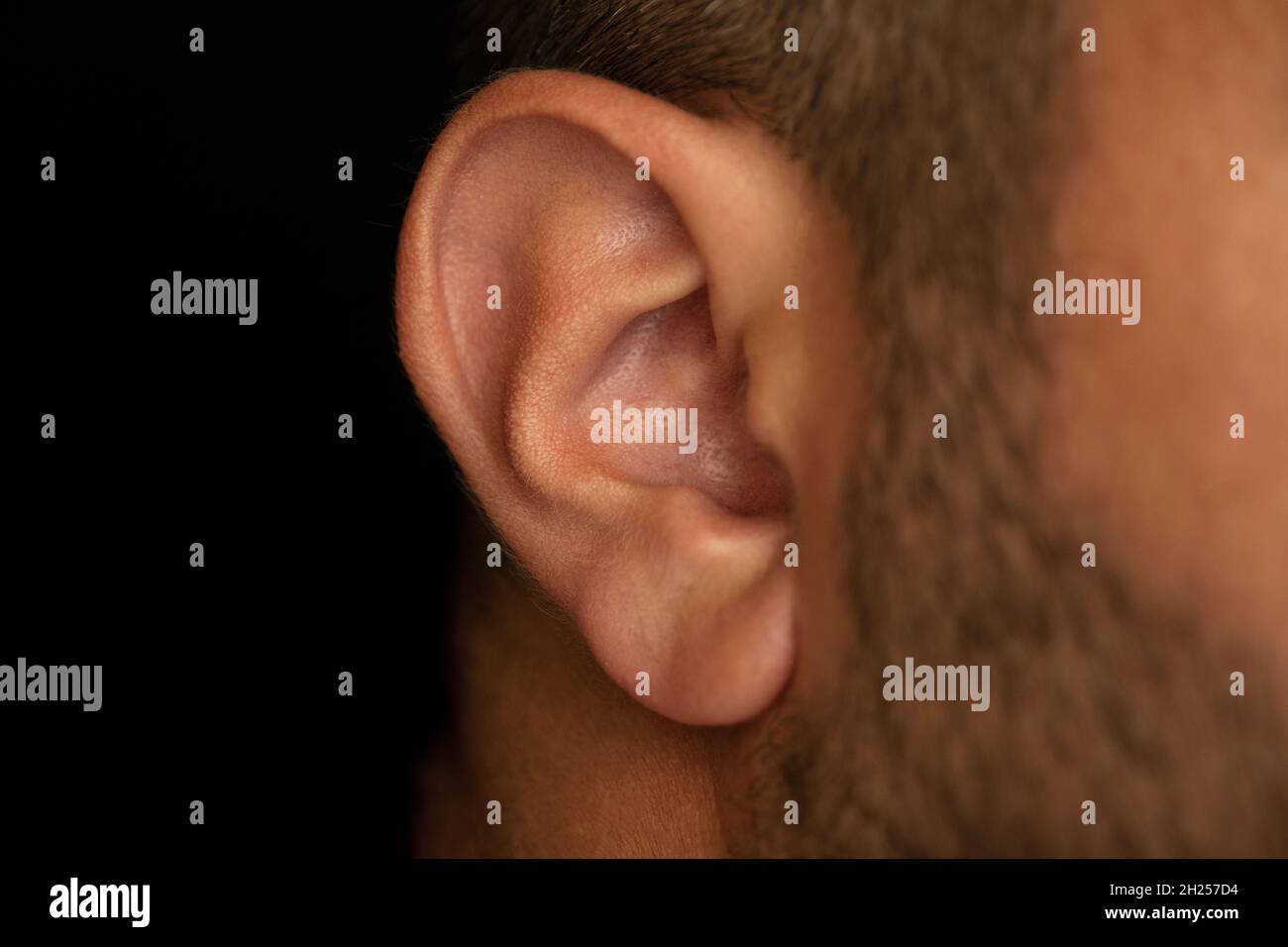 Nahaufnahme eines Männerohrs mit brauner Haut. Stockfoto