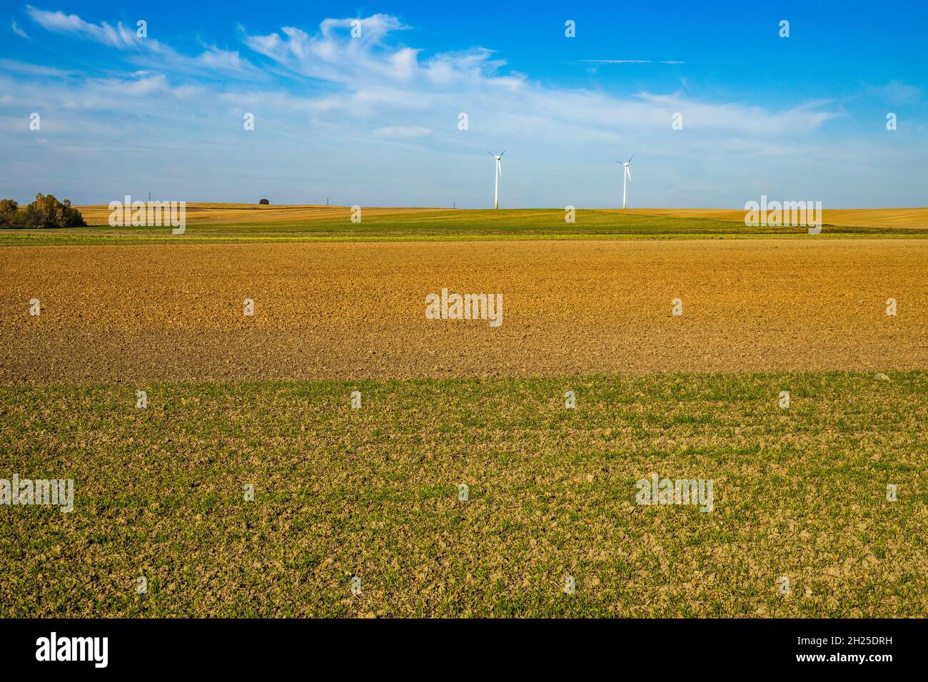 Windturbinen an einem sonnigen Tag inmitten eines Gerstenfeldes Stockfoto