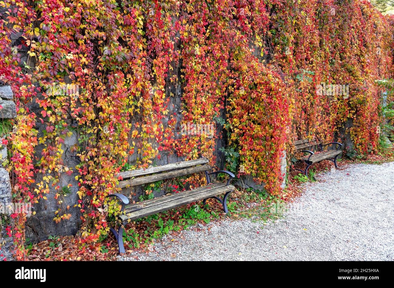 Bänke in schönen bunten hängenden Garten des Palastes in Lillafared Ungarn Herbst Saison im Bukk Nationalpark Stockfoto