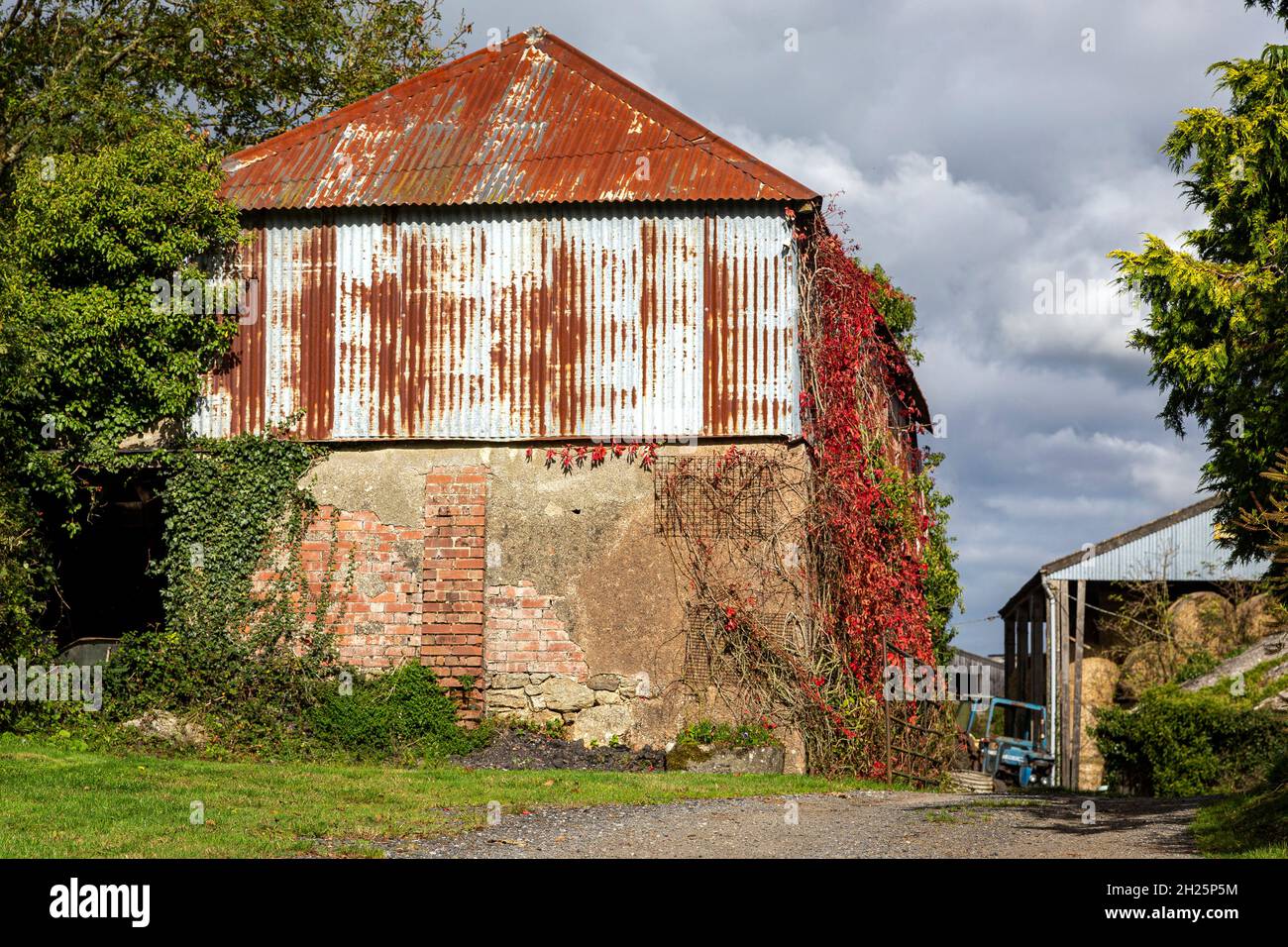 Landwirtschaftlicher Betrieb in Devon,dartmoor Farm,Landwirtschaft Schönheit in der Natur Dartmoor Hill, Farm, Devon, isoliert, Stockfoto