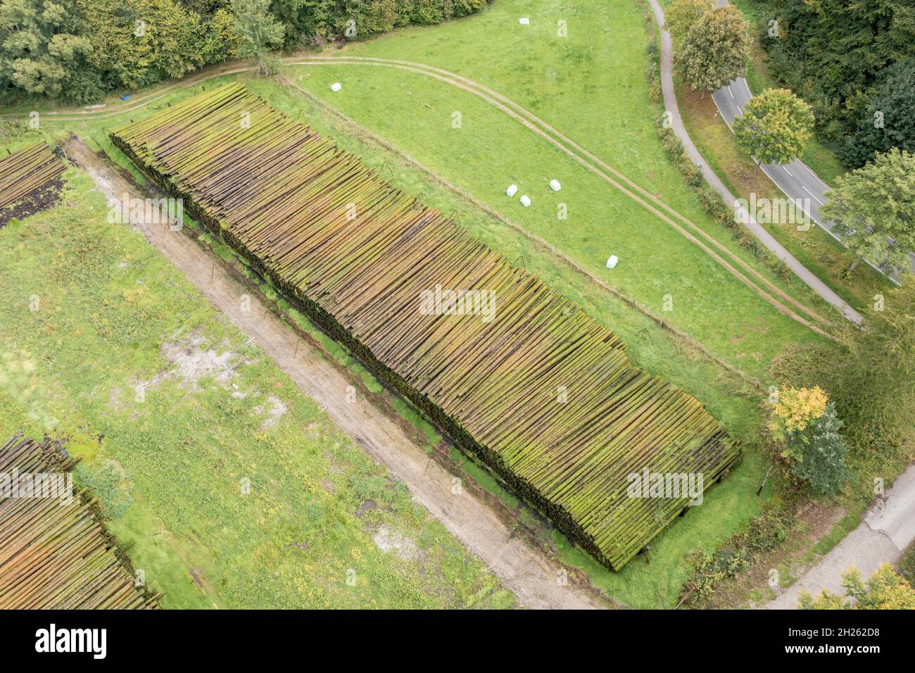 Luftaufnahme eines Holzhofes, Baumstämme werden durch das Besprühen von Wasser auf den Wald, Deutschland, konserviert Stockfoto