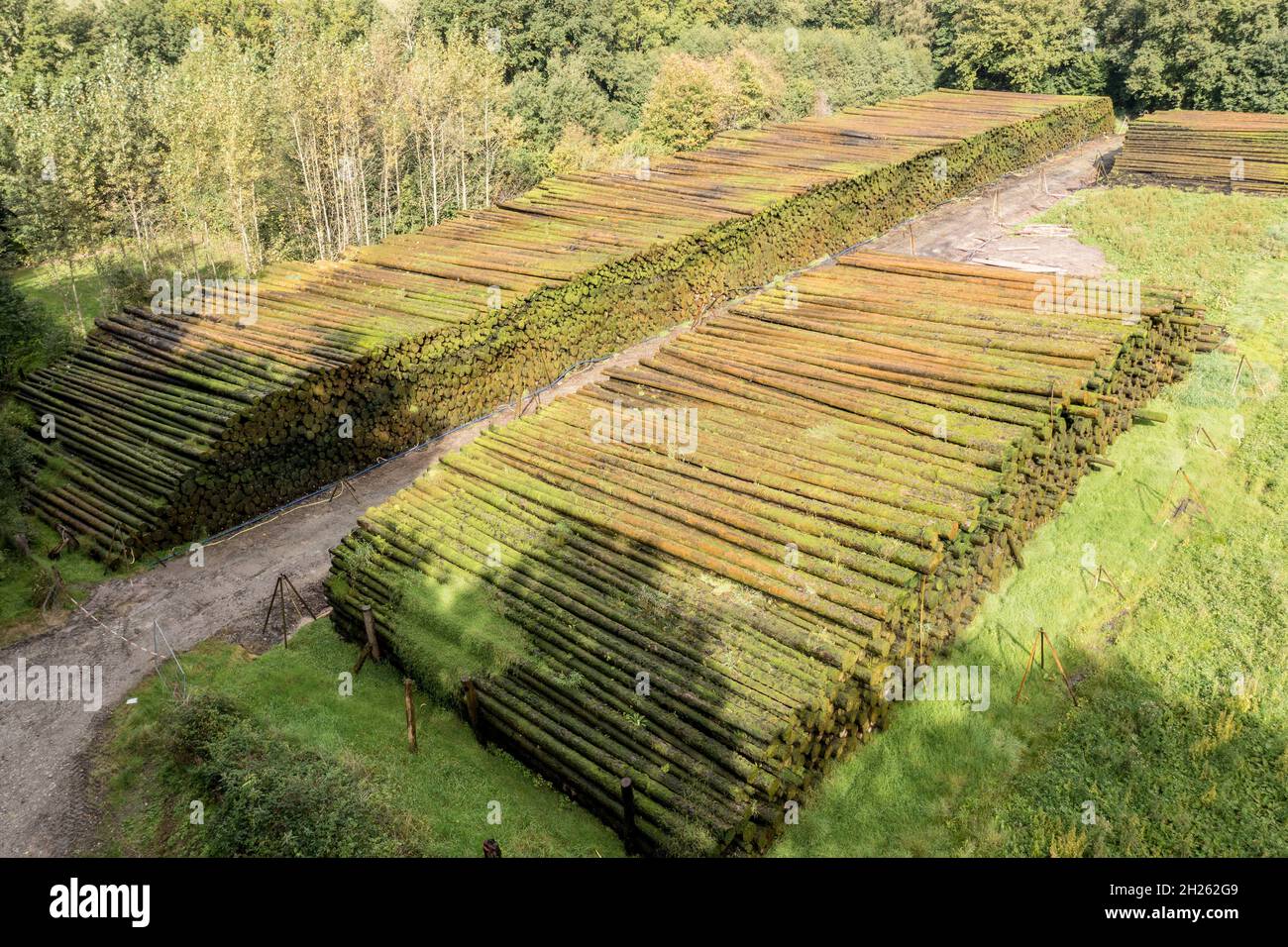 Luftaufnahme eines Holzhofes, Baumstämme werden durch das Besprühen von Wasser auf den Wald, Deutschland, konserviert Stockfoto