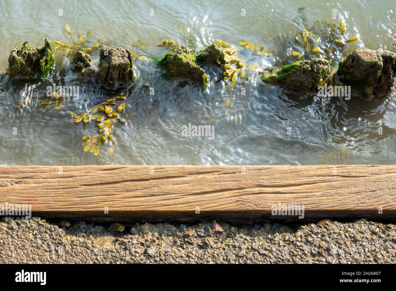 Nahaufnahme der Wassererosion an einem Flussufer Stockfoto