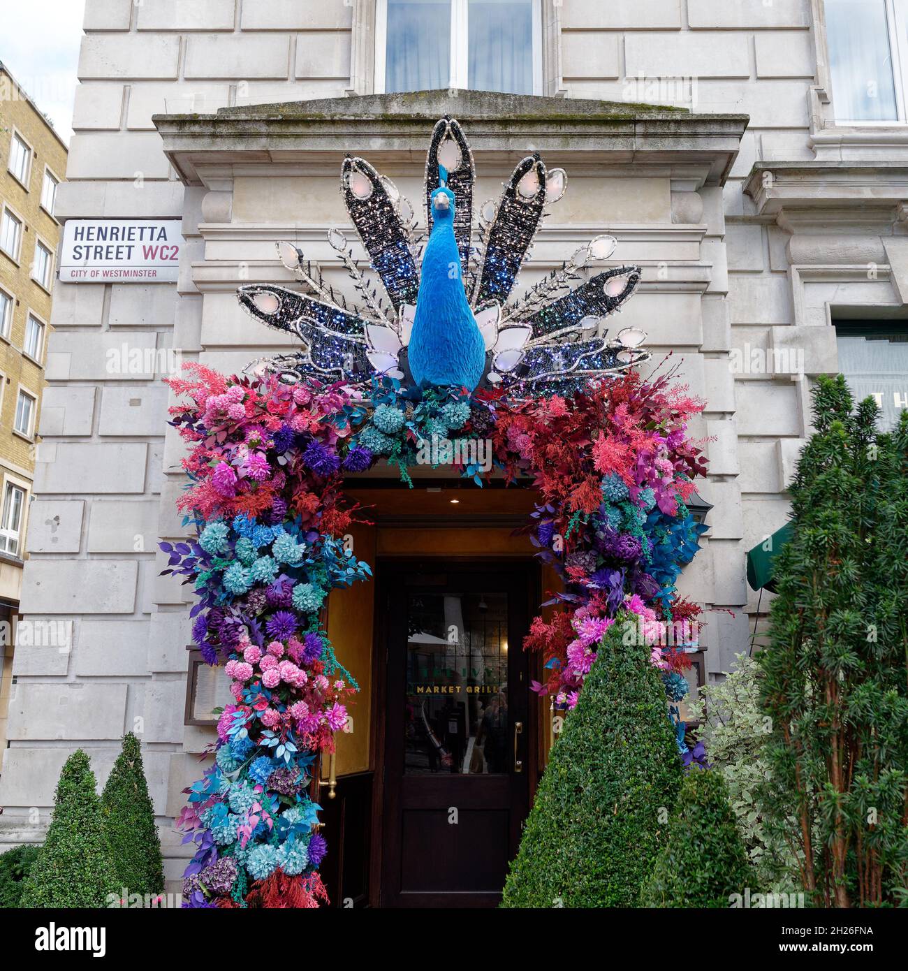 London, Greater London, England, Oktober 05 2021: Pfau vor dem Ivy Market Grill in der Henrietta Street in Covent Garden. Stockfoto