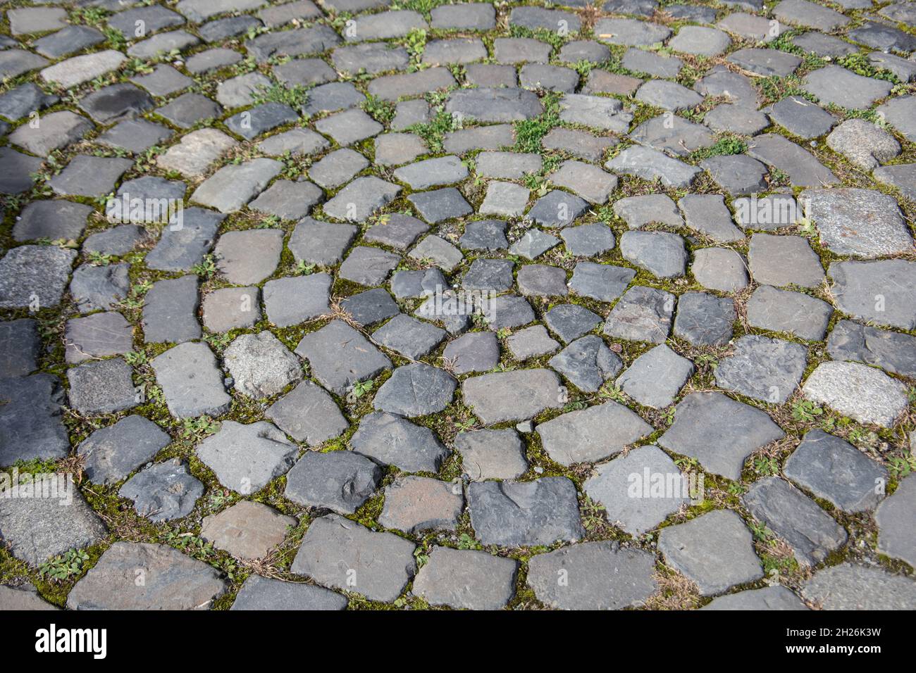 Schloss Altena auf dem Hügel Stockfoto