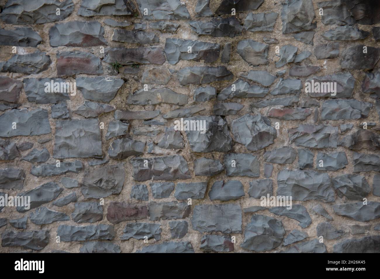 Schloss Altena auf dem Hügel Stockfoto