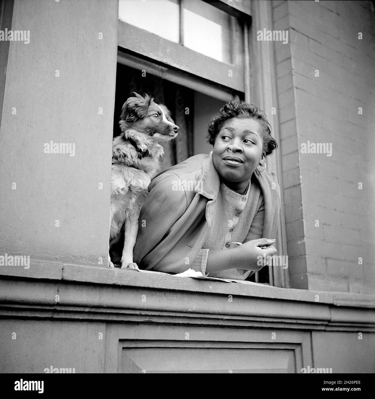 Frauen mit Hund, der sich aus dem Wohnungsfenster lehnt, Harlem, New York City, New York, USA, Gordon Parks, U.S. Office of war Information, Mai 1943 Stockfoto