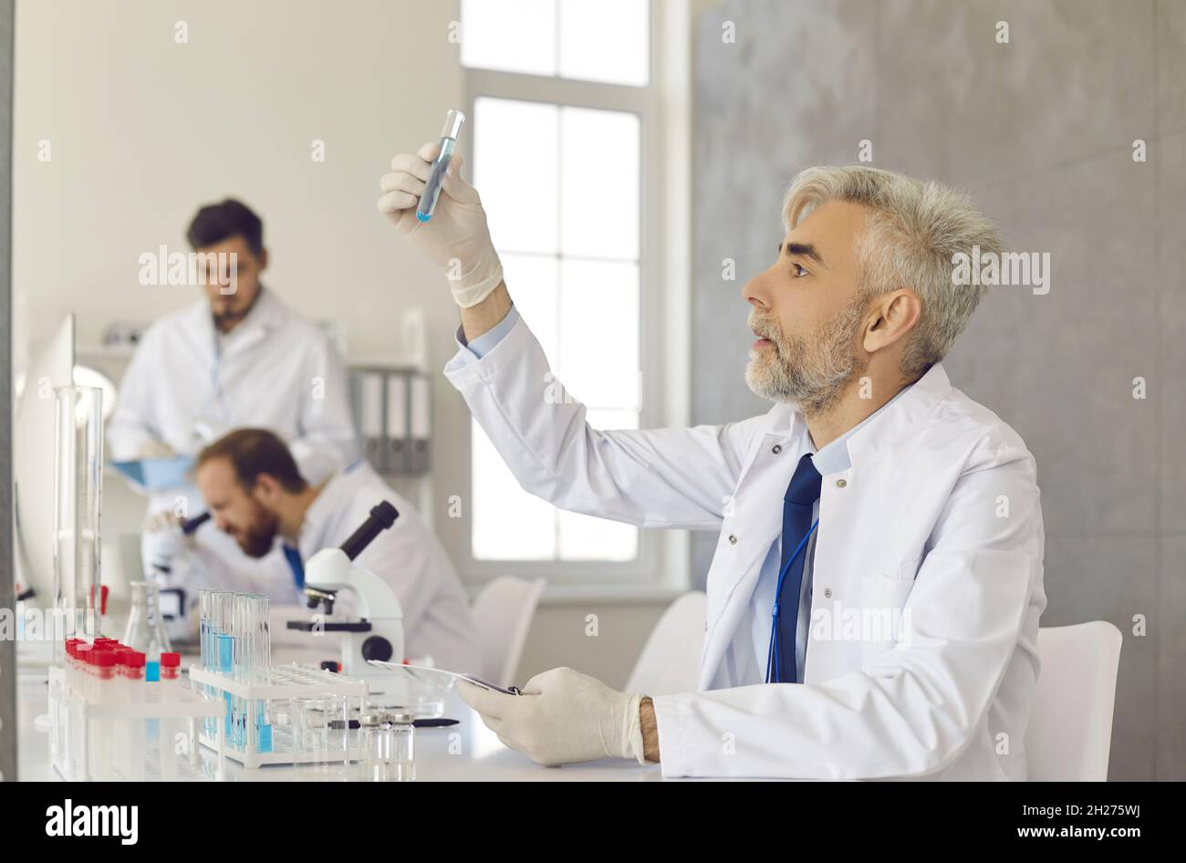 Leitender Wissenschaftler, der Glasrohr betrachtet, während er in einem modernen medizinischen Labor arbeitet Stockfoto