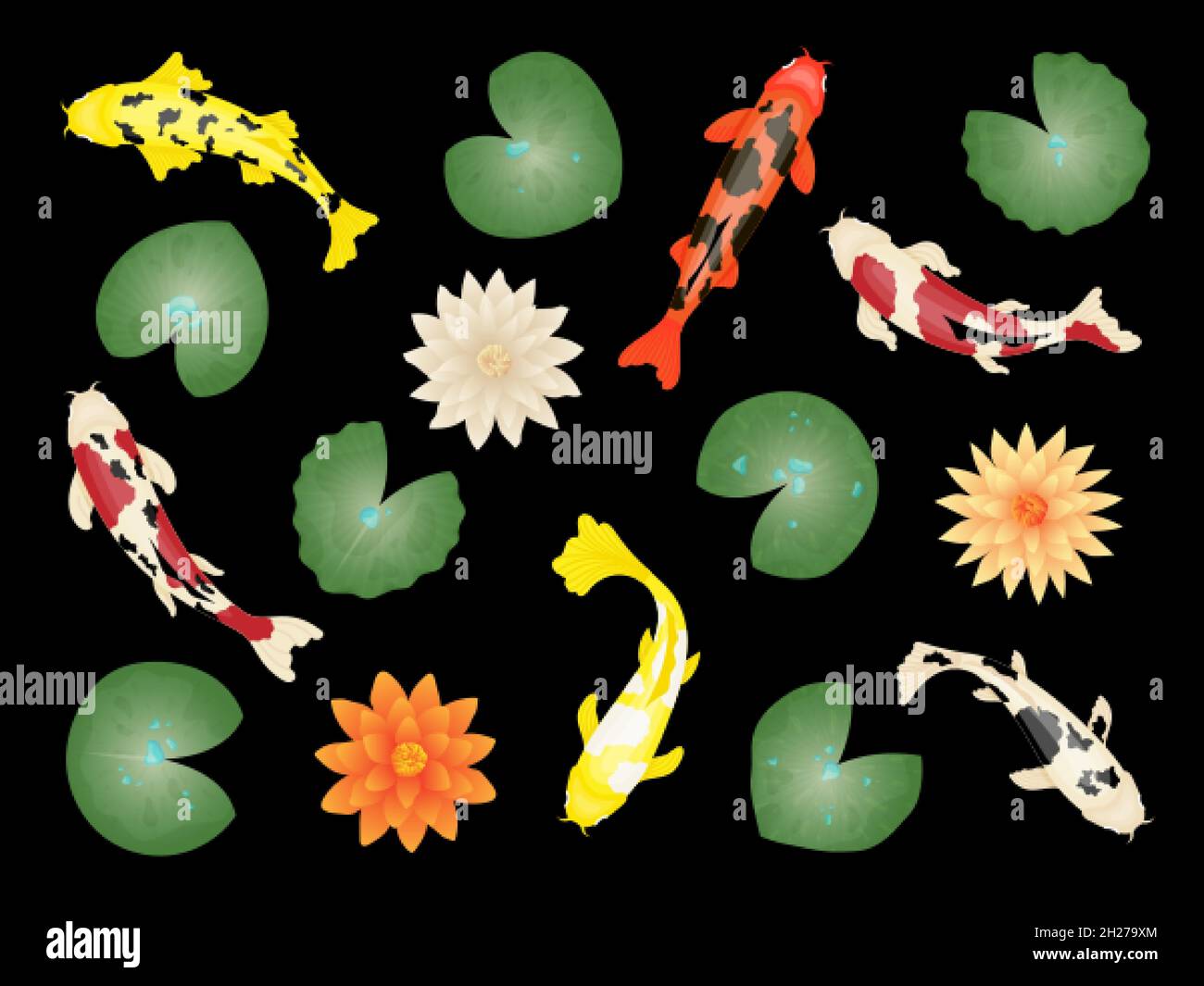 Koi Fisch und Lotus. Japanische Fische, rote Karpfen und Goldfische. Japanische chinesische Blumen, botanische Naturelemente. Farbe orientalischen Teich schwüligen Vektor-Set Stock Vektor