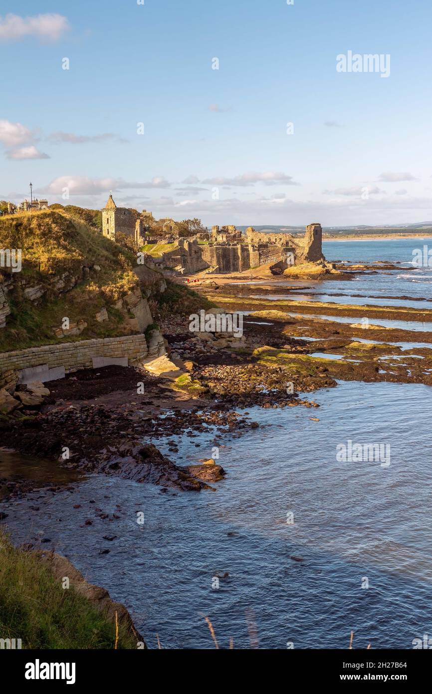 Die Ruinen von St Andrews Castle waren eine Festung und ein guter Aussichtspunkt für alle eindringenden Armeen, St. Andrew's, Fife, Schottland, Großbritannien Stockfoto