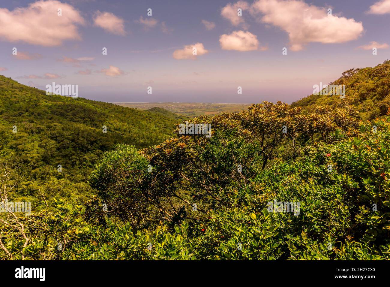 Blick von oben auf den tropischen Wald und das Tal bei Viewpoint, einem Naturschutzgebiet der Insel Mauritius im Indischen Ozean Stockfoto