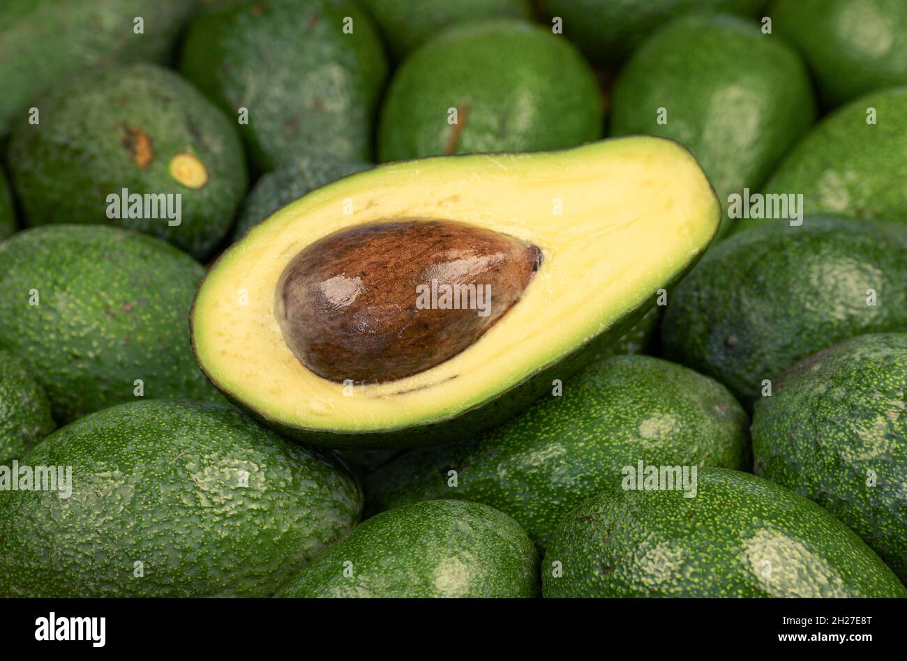 Grüne Avocados Stockfoto