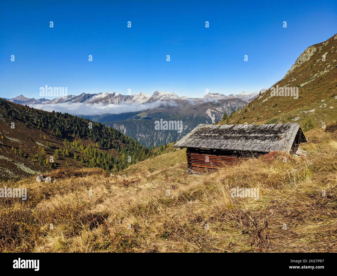 Alter Bauernkopf auf der Alp-Wiese oberhalb von monstein davos. Wunderschöne Wanderlandschaft in der schweiz. Herbstzeit Stockfoto