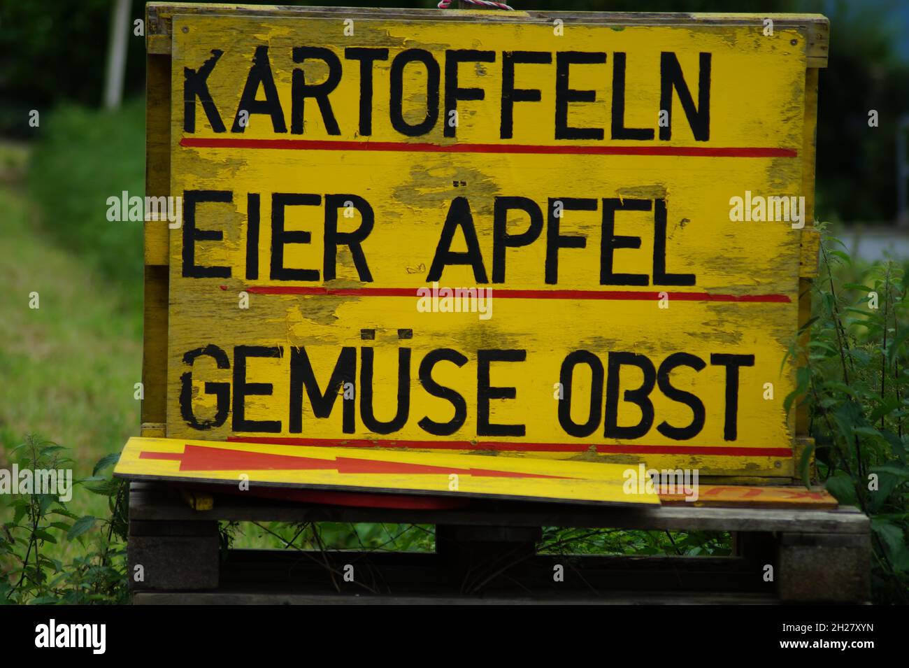 Frisches Obst und Gemüse vom Hof Stockfoto