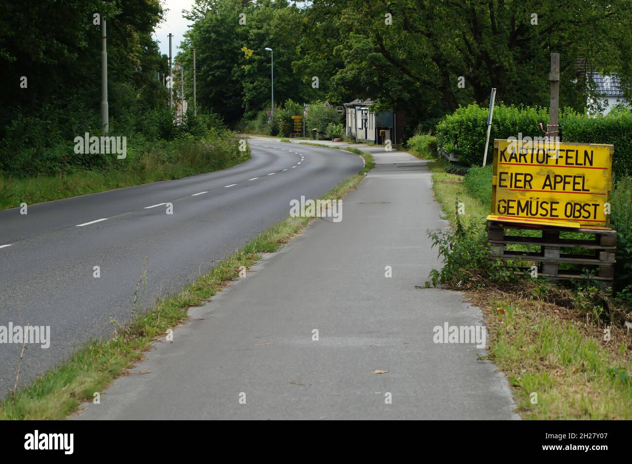Frisches Obst und Gemüse vom Hof Stockfoto