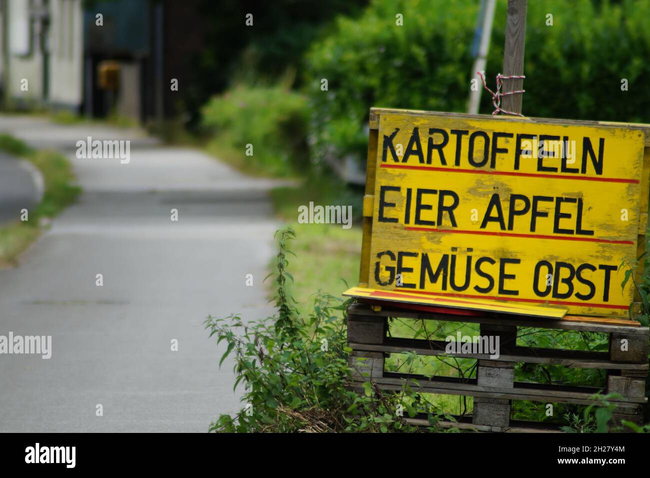 Frisches Obst und Gemüse vom Hof Stockfoto