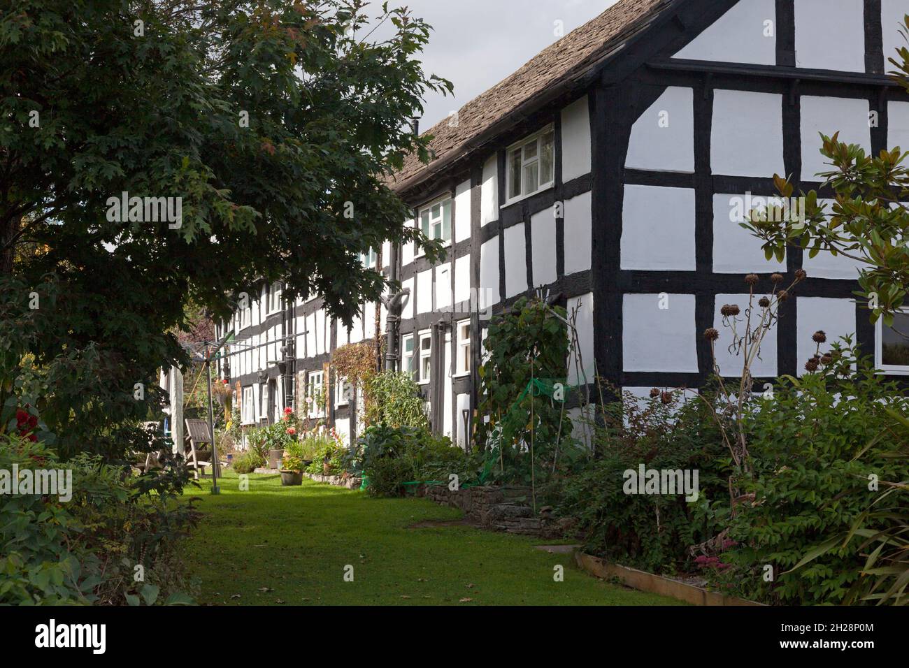 Ehemalige Scheune aus dem 18. Jahrhundert in Castle Close umgebaut zu Wohnungen, Eardisley, Herefordshire Stockfoto