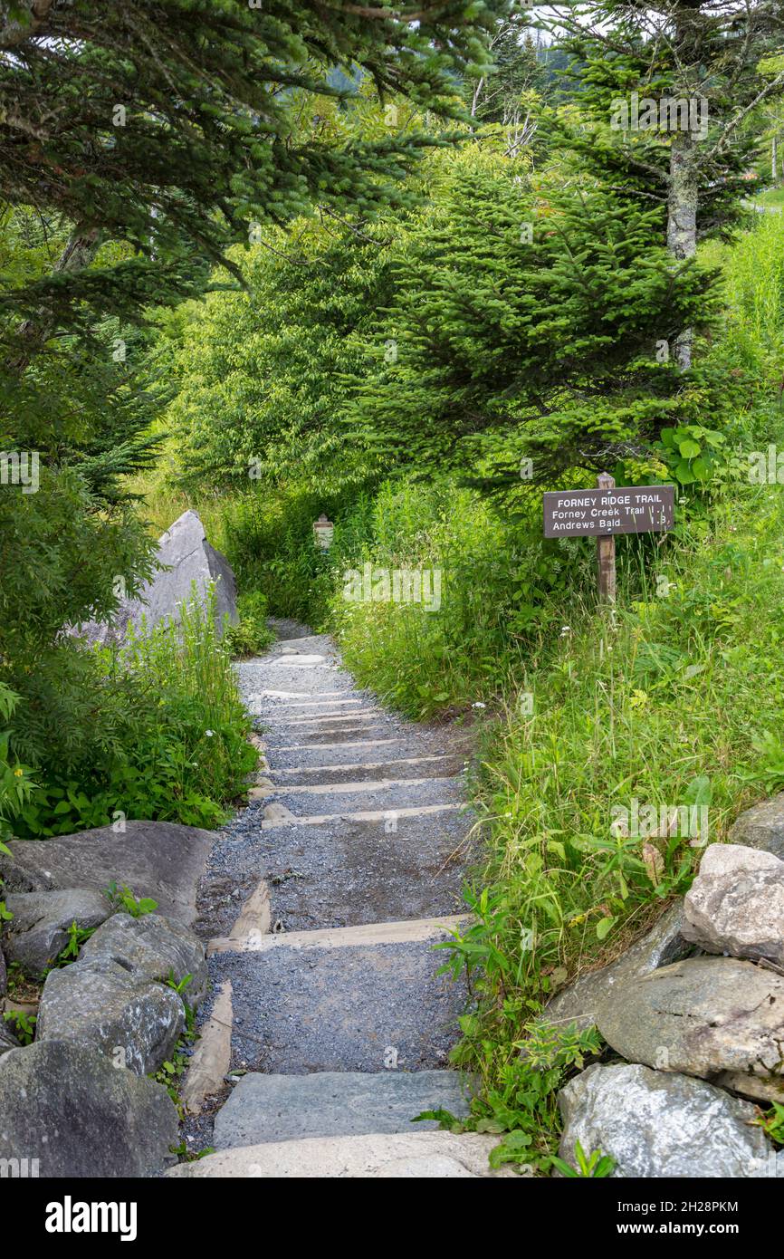 Eintritt zum Forney Ridge Trail, Forney Creek Trail und Andrews bald Trail vom Clingman's Dome im Great Smoky Mountains National Park Stockfoto