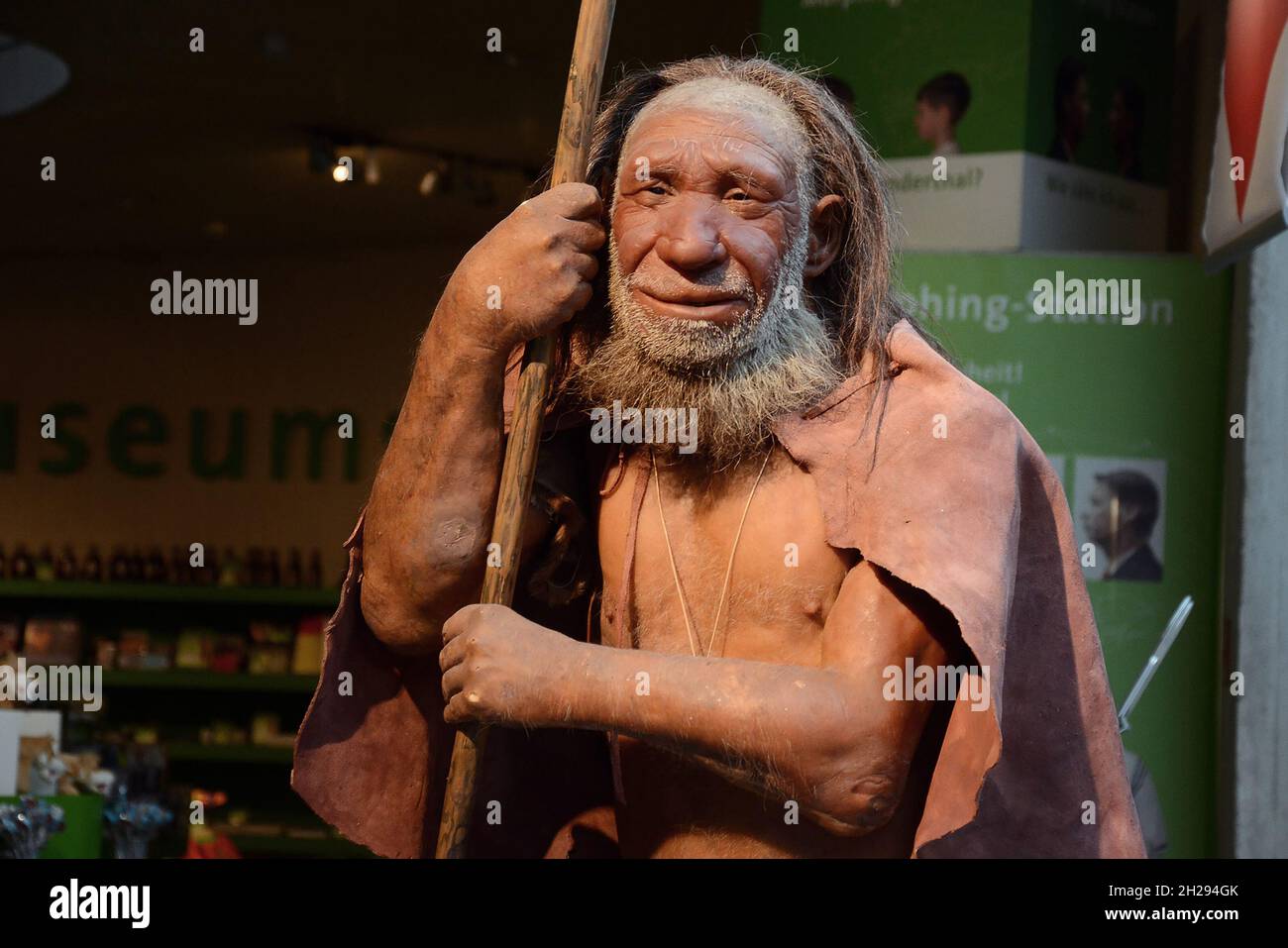 Das Neanderthal Museum ist ein Museum im Neandertal bei Mettmann, Deutschland, Europa - das Neanderthal Museum ist ein Museum im Neandertal bei Mett Stockfoto