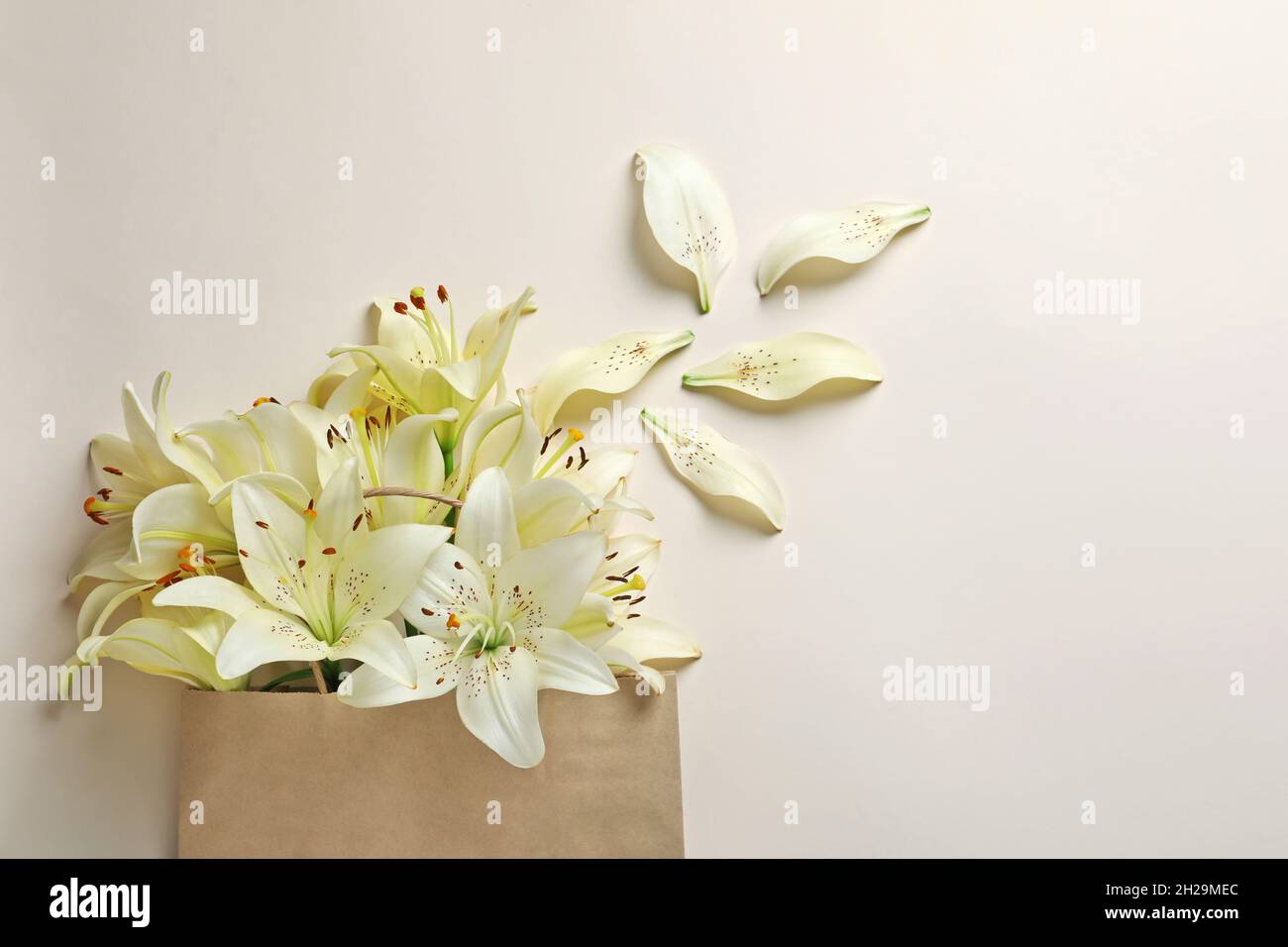 Flache Lay-Komposition mit Lilienblumen auf hellem Hintergrund Stockfoto