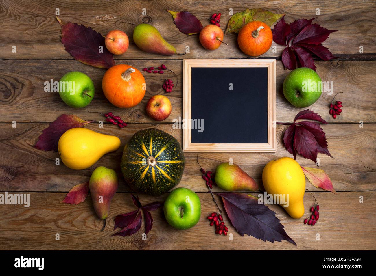 Quadratischer Bilderrahmen-Mockup mit Kürbissen, Äpfeln, Birnen auf dem rustikalen Hintergrund. Leerer Rahmen für Präsentationsdesign. Schablonenrahmen für m Stockfoto