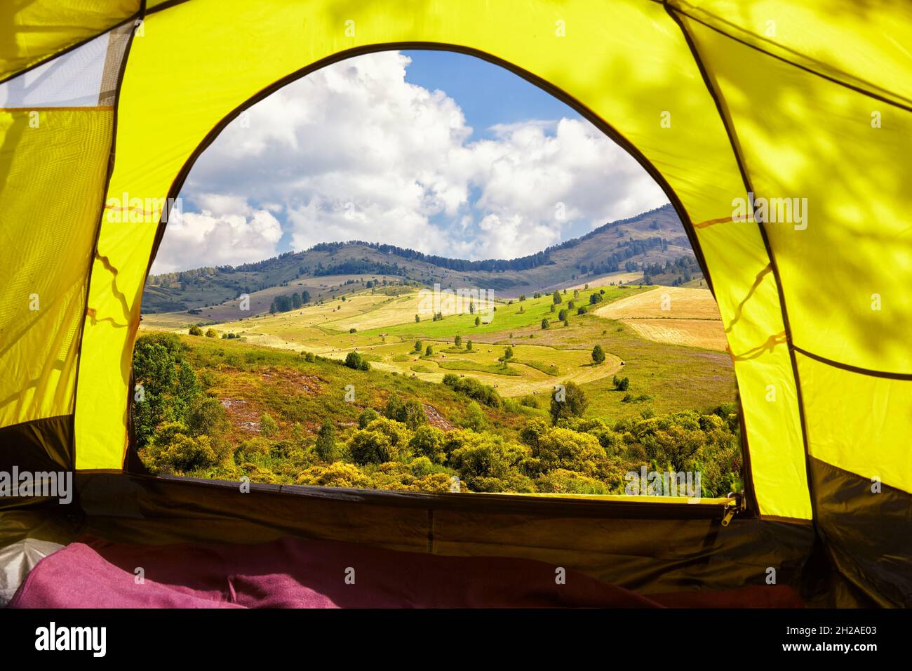 Sommer Altai Landschaft mit Hügeln und Wiesen. Blick vom Eingang des Campingzelts. Camping und Reisen in der Natur Konzept. Stockfoto
