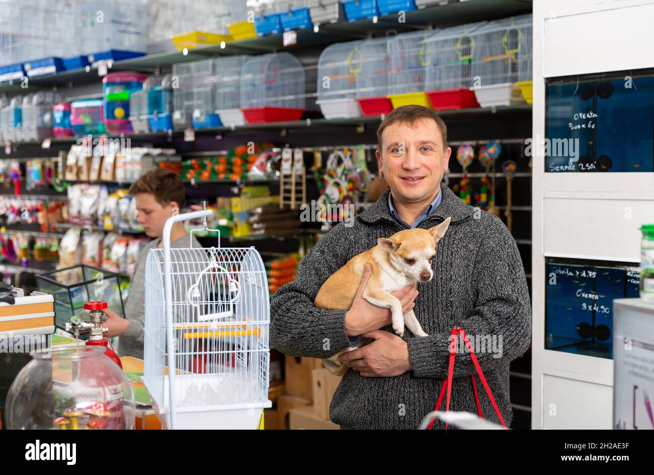 Portrait eines glücklichen Mannes mit seinem chihuahua Hund, der den Laden für Heimtierbedarf besucht Stockfoto